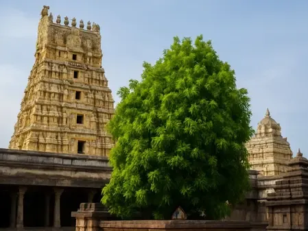 एकम्बरेश्वर मंदिर: मां पार्वती के प्रेम और तप का प्रतीक है ये मंदिर, चमत्कारी पेड़ पर लगते हैं चार तरह के आम
