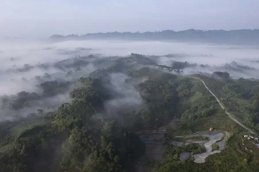 El Niño and Atlantic warming may predict Amazon heat 7 months early: Study