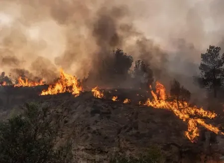 Is an Emergency Warning Active Due to a Grass Fire in South Australia?