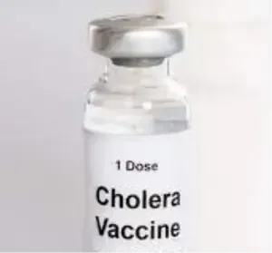 Ethiopia Initiates Cholera Vaccination for 1 Million Vulnerable Individuals