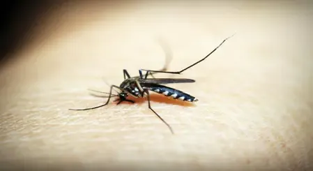 How Many Malaria Cases Did Ethiopia Report in May?