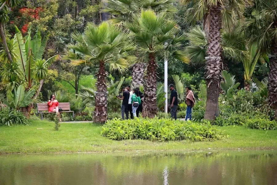 How Many International Tourists Visited Addis Ababa in Six Months?
