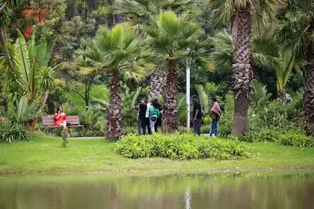 How Many International Tourists Visited Addis Ababa in Six Months?