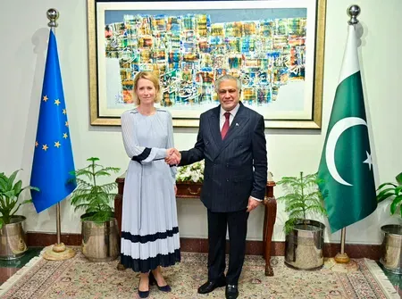EU's GSP-Plus to Pakistan under fire over human rights failures since 2014