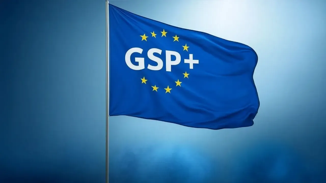 Should EU Leaders Reassess Pakistan's GSP+ Trade Status?