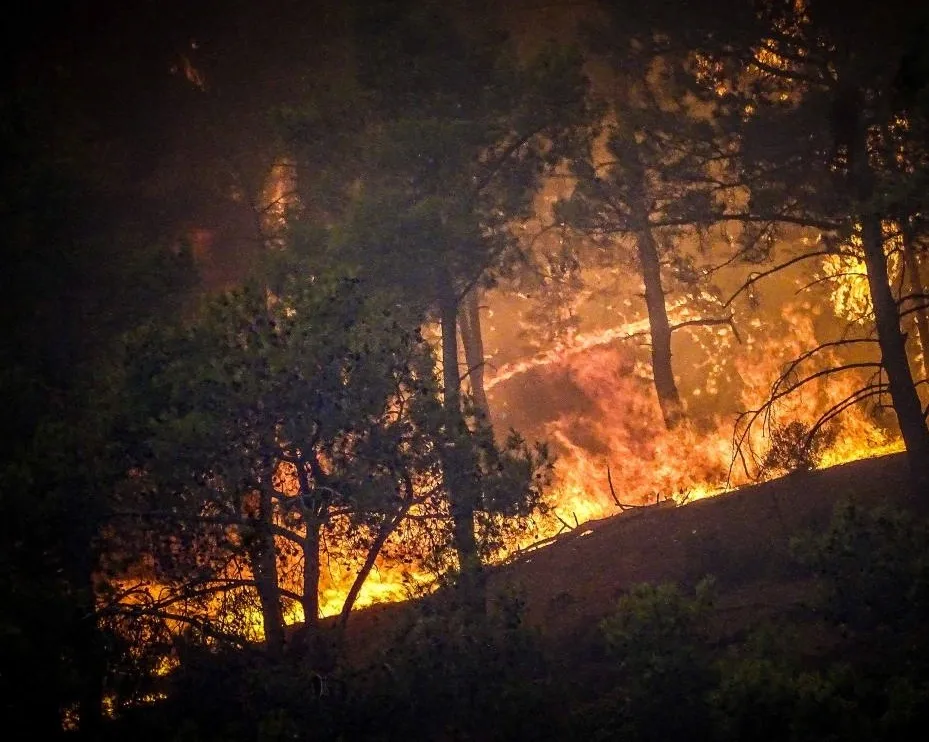 Are Europe’s Wildfires Doubling the Average Risk into September?