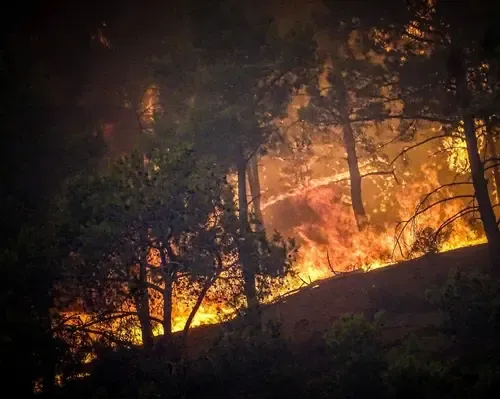Are Europe’s Wildfires Doubling the Average Risk into September?