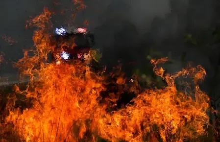 What prompted the evacuation due to bushfire devastation in Tasmania?