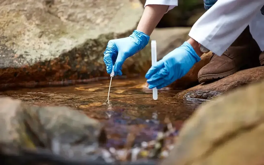 Elevated PFAS Chemical Levels Found in Water from 44 Private Suppliers Throughout Japan