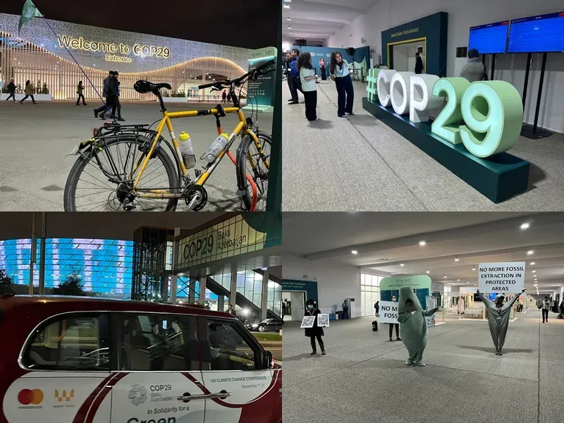 Analysis: Was the Baku Climate Summit a Blend of Achievements and Challenges?