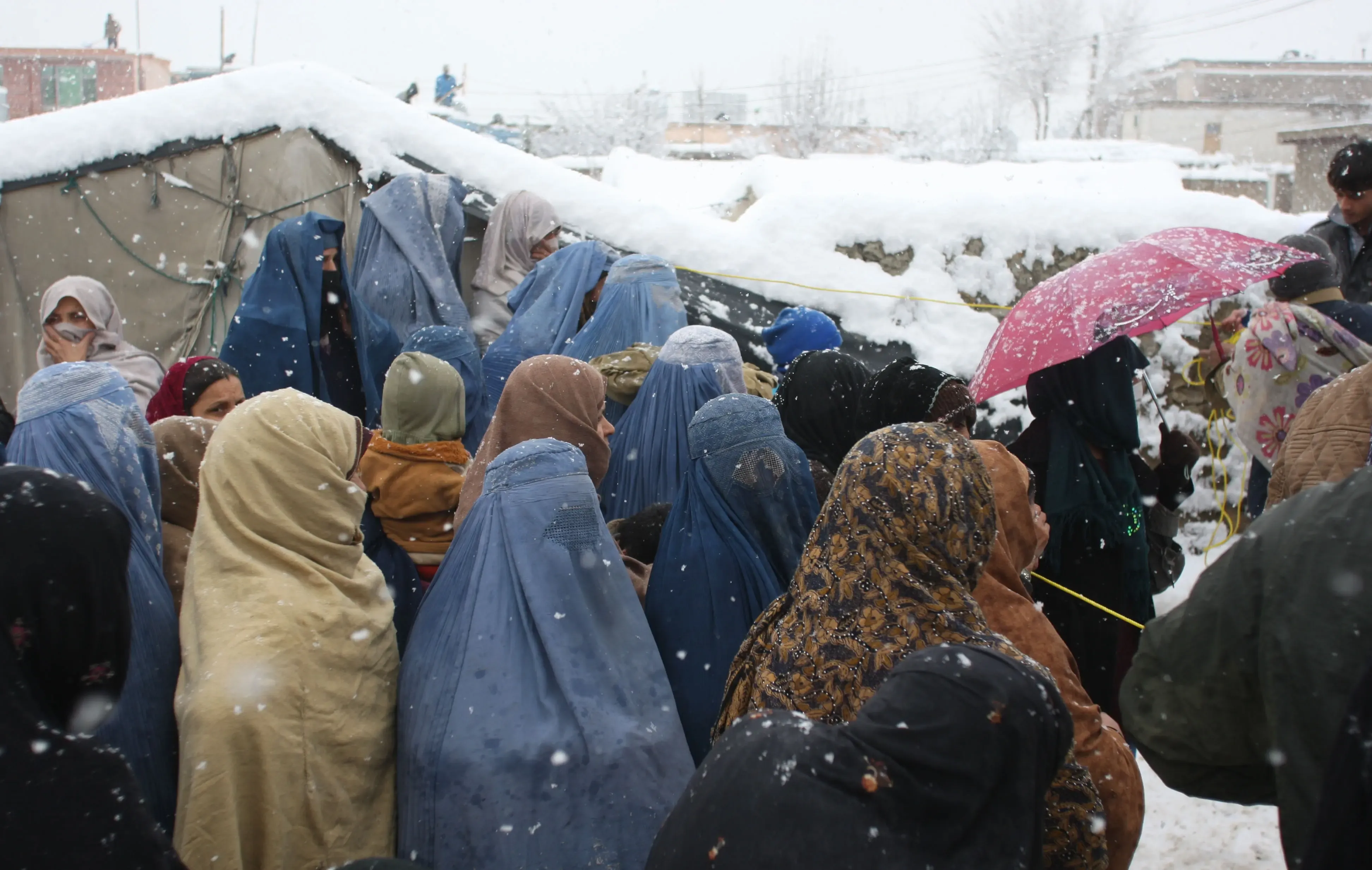 Is the expulsion of Afghan refugees from Pakistan creating a humanitarian crisis?