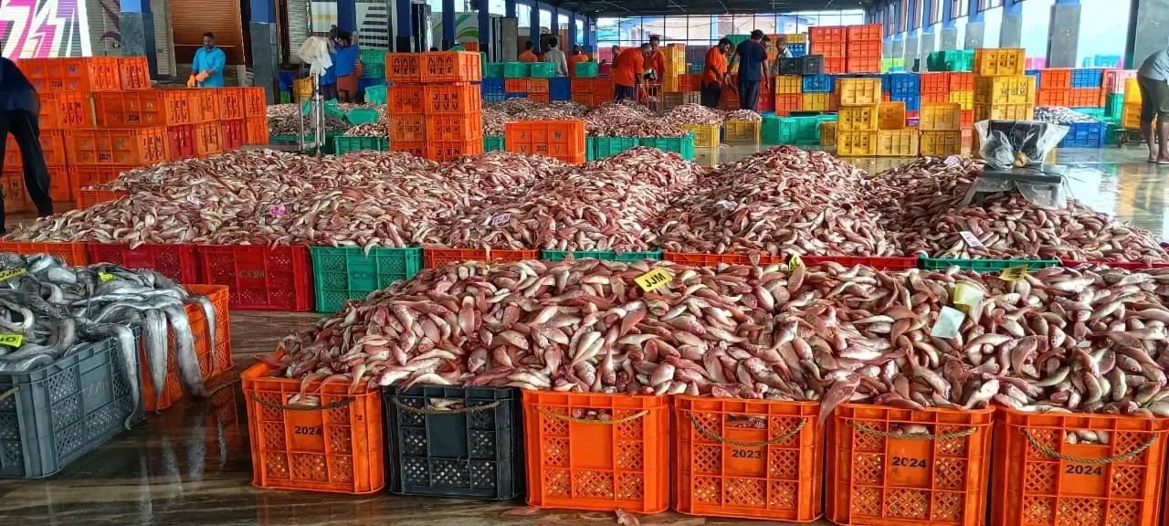 How are FAO and Bay of Bengal countries preparing action plans for small-scale fisheries?