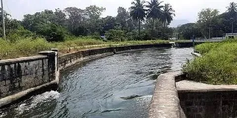 Will Authorities Release PAP Water to Vattamalai Dam Amid Drought in Tiruppur?