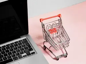 Festive e-commerce sales top ₹24,000 crore in first two days: Redseer