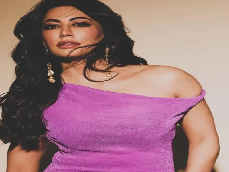 क्या 'गलवान' सिर्फ एक फिल्म है या एक गहरा इमोशन? चित्रांगदा सिंह ने सलमान खान के साथ अनुभव साझा किए