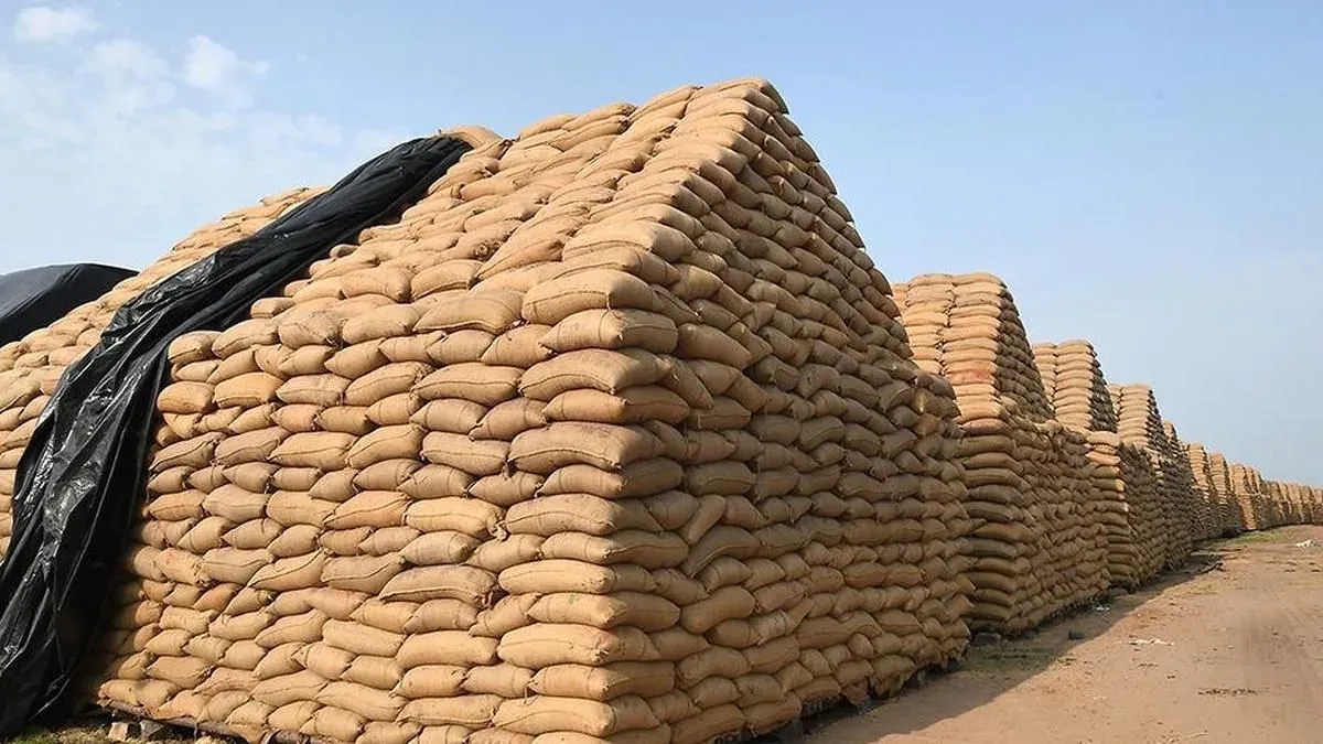 Fine paddy prices surge 20% in Tamil Nadu as Samba season ends