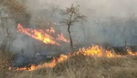 How Long Will the Firefight in Arunachal Forests Last?