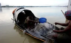 Fisherfolk Urge Cancellation of Marina Beach Initiative, Meeting with Chennai Corporation Commissioner Scheduled
