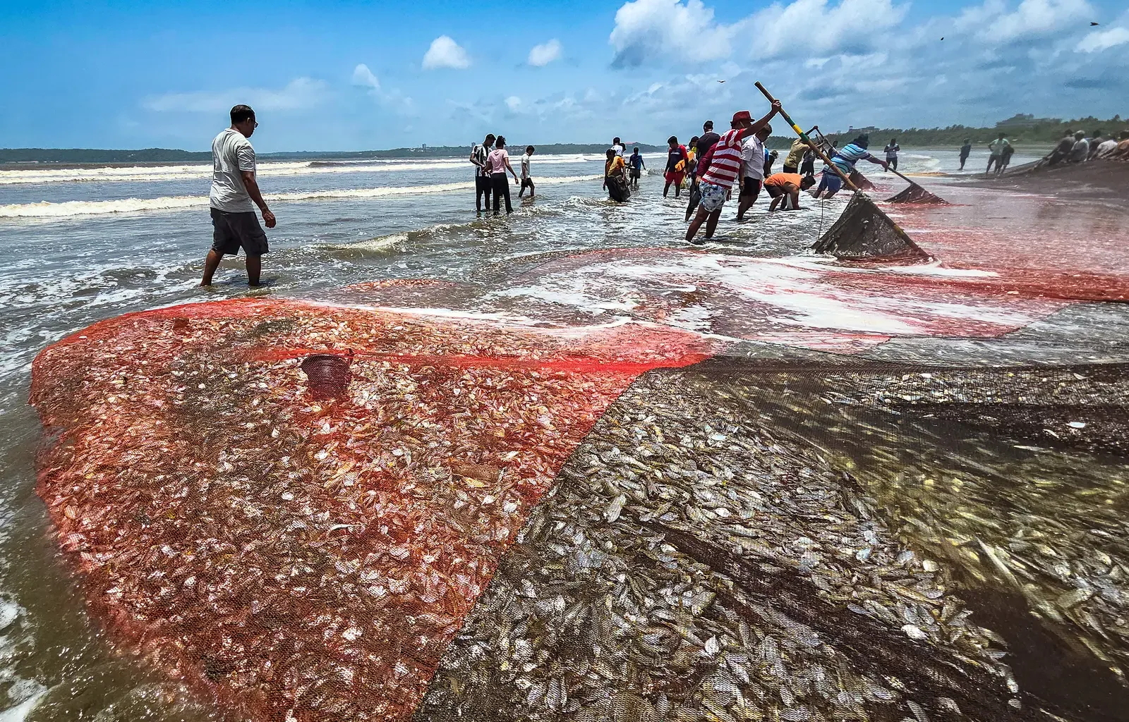 Fisheries Conclave 2026 in Bhopal aims to boost market access and returns for fish farmers