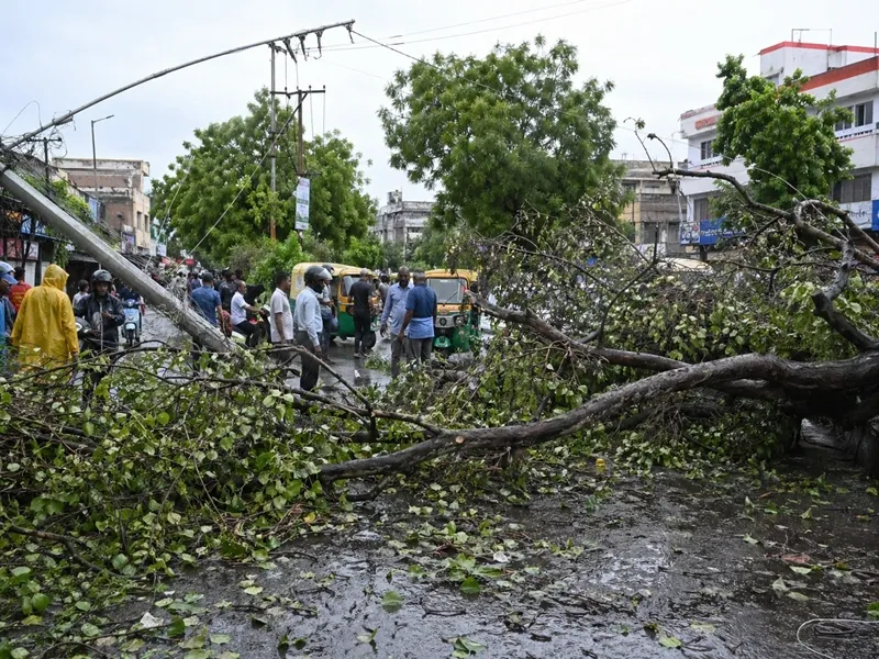 Bihar storm kills 5, batters 20 districts; IMD issues fresh alerts