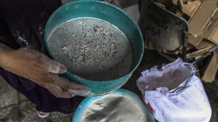 Have Flour Supplies in Gaza Run Out?
