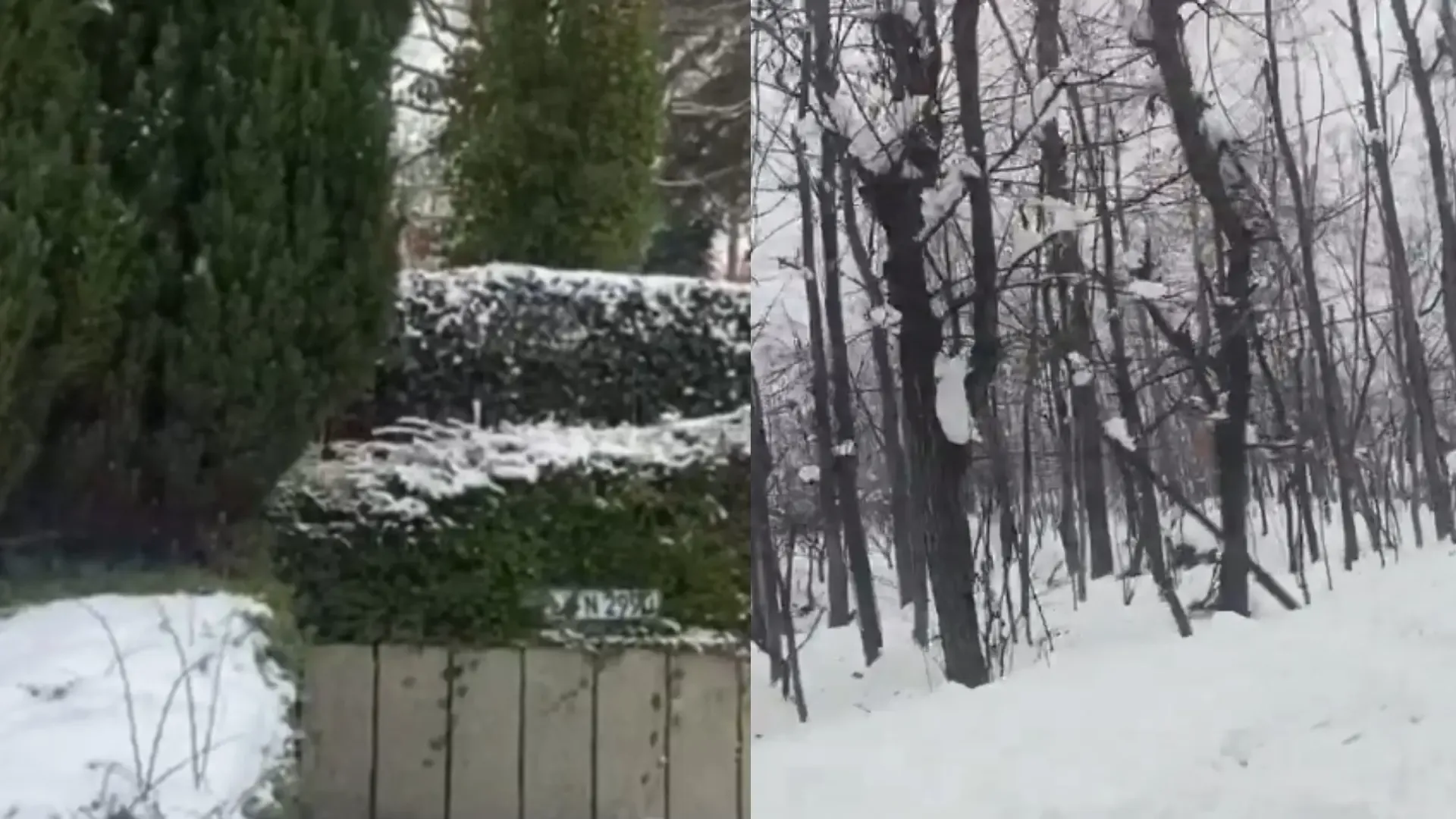 Srinagar Surrounded by Fog; Snowfall Anticipated This Weekend in Kashmir