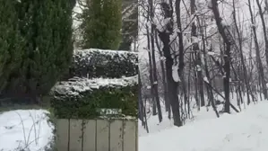 Srinagar Surrounded by Fog; Snowfall Anticipated This Weekend in Kashmir