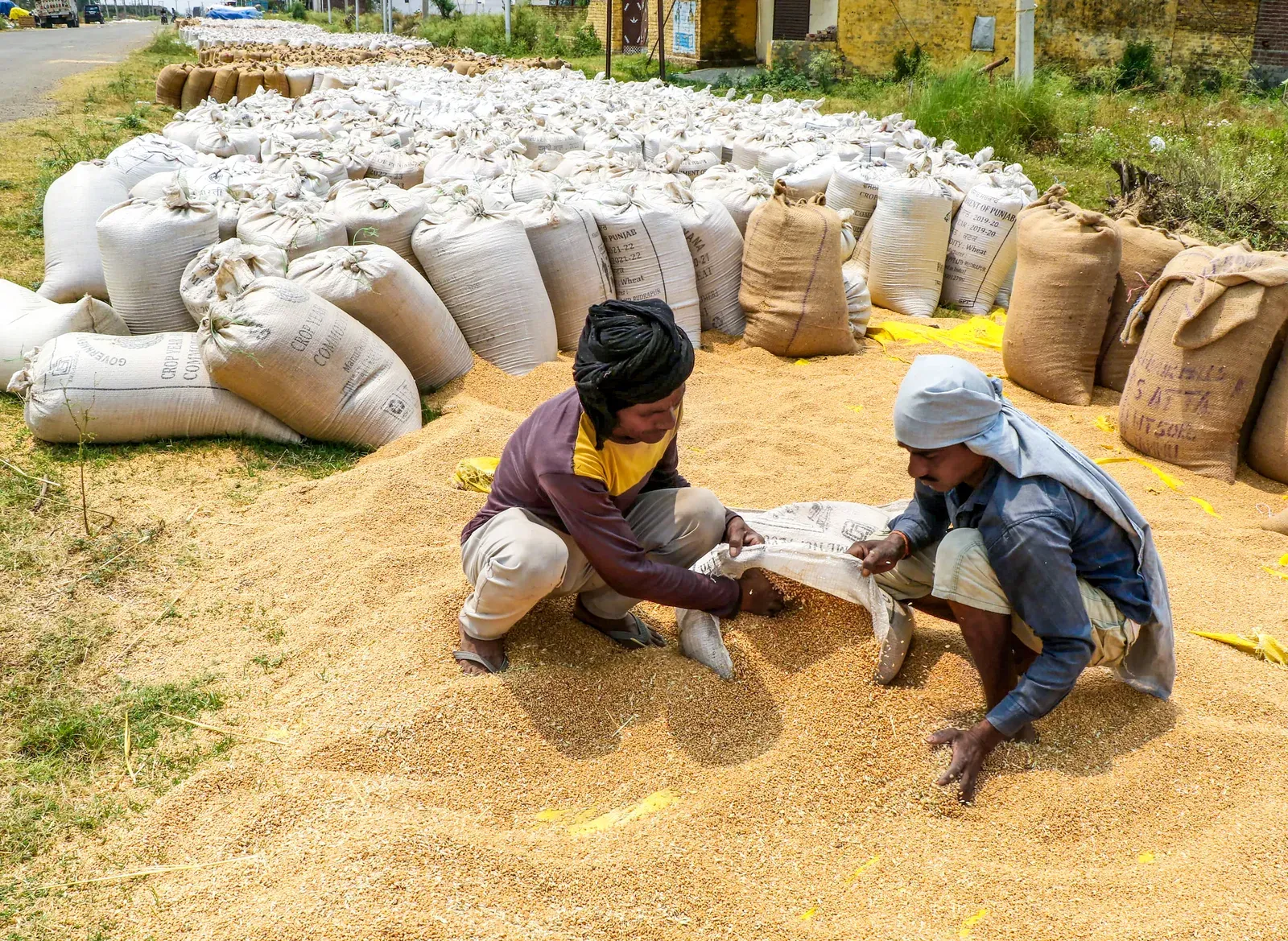 India foodgrain output hits 376.5 million tonnes, decentralised storage network expands