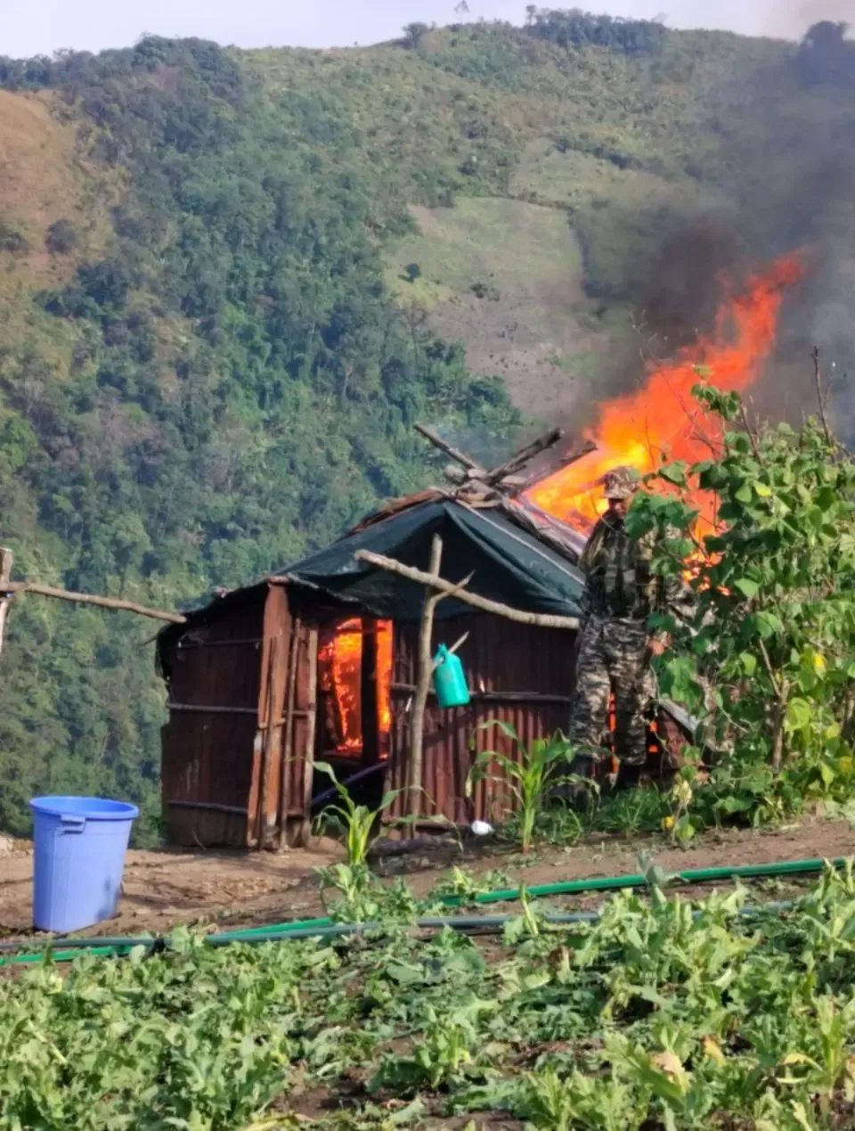 Is Forest Destruction for Illegal Poppy Farming Responsible for Manipur's Recurrent Floods?