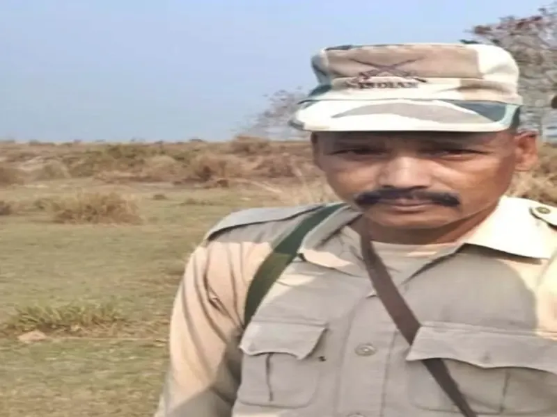 How Did a Rhino Attack Lead to a Tragic Incident in Kaziranga National Park?