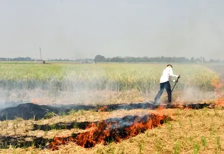 How has the Punjab government achieved a four-fold reduction in farm fire cases?