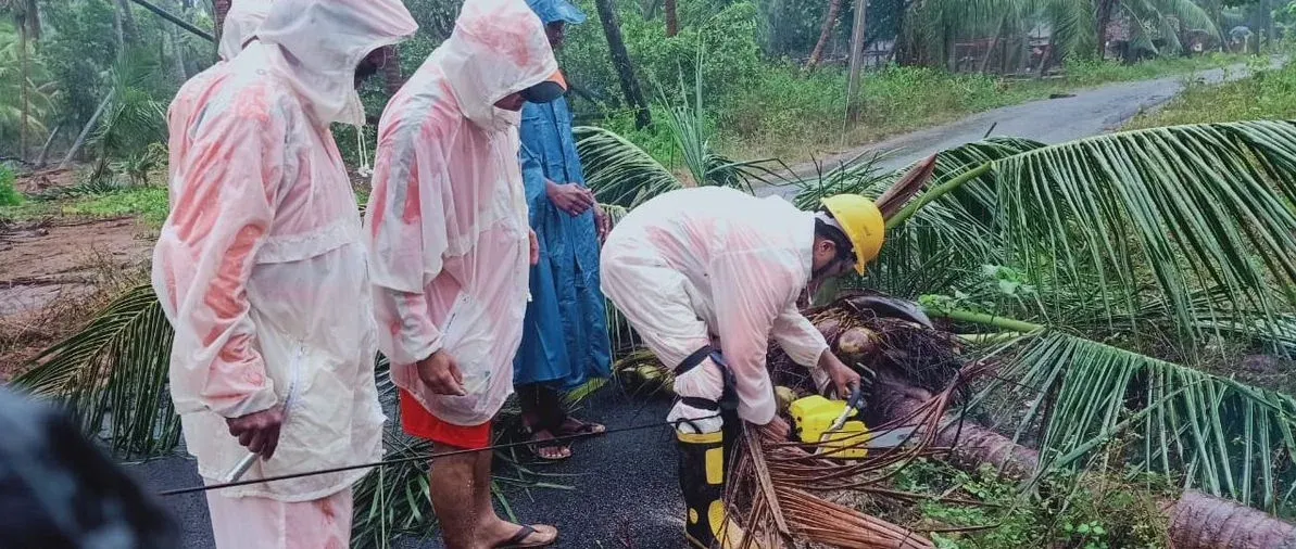 4 killed in Andhra Pradesh as rain, gusty winds cause havoc overnight