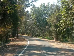 Four Maoists and a Police Officer Die in Clash in Bastar, Chhattisgarh