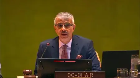 Why is France Pushing for Text-Based UNSC Negotiations?