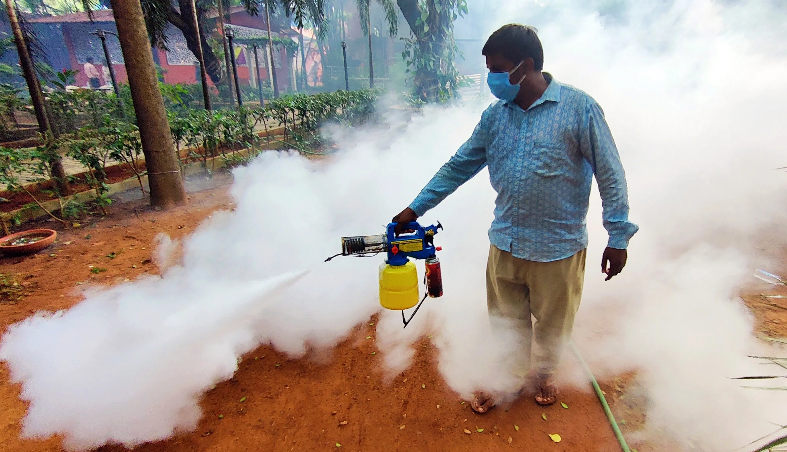 Has France Reported Its First Locally Transmitted Chikungunya Case in 2025?