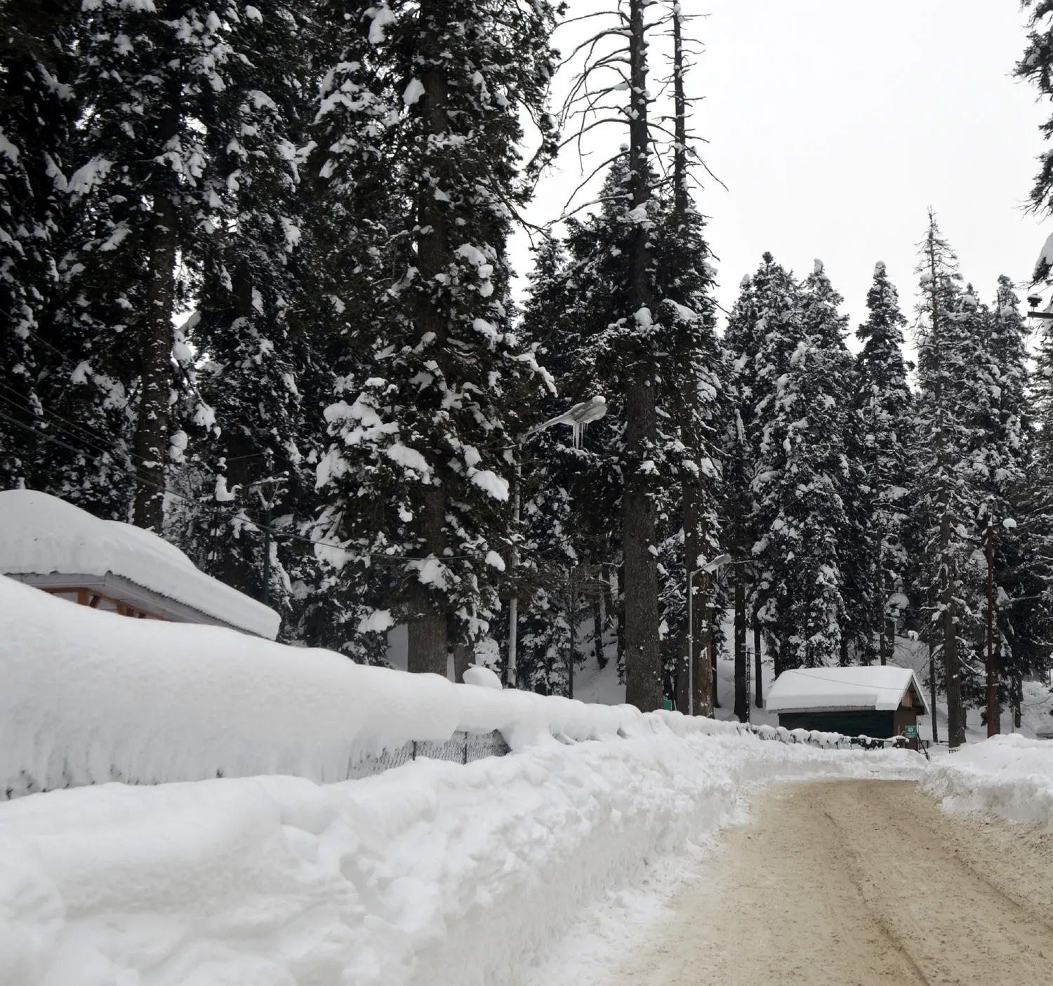 New Snowfall Hits Kashmir Valley; Anticipated from January 4-6