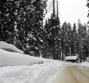 New Snowfall Hits Kashmir Valley; Anticipated from January 4-6