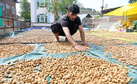 How Will GST Rejig Transform J&K’s Economy?