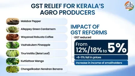 Will GST Reforms Transform Kerala's Economy from Spice Gardens to Cashew Corridors?