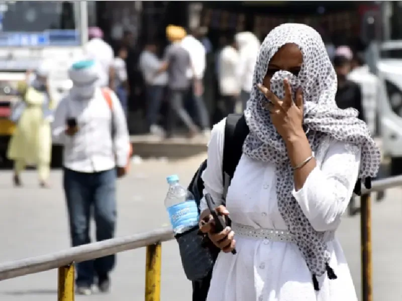 गर्मी में पित्त दोष के बढ़ने के कारण और आयुर्वेदिक उपाय