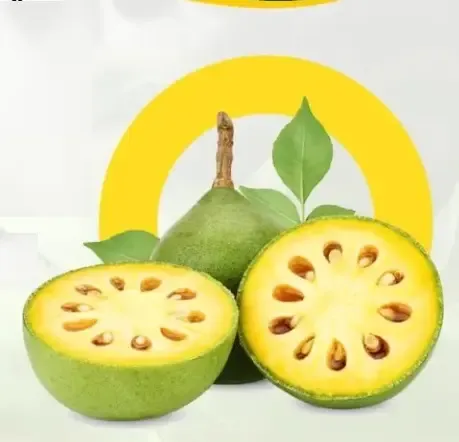 गर्मियों में शरीर को ठंडा रखने का आसान उपाय: जानें बेल का शर्बत कैसे बनाएं