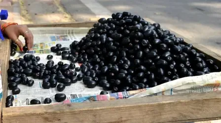 गर्मियों का तोहफा जामुन, स्वाद और सेहत का बेजोड़ संगम!