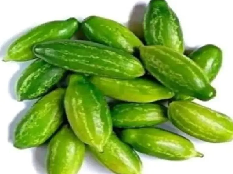 गर्मी में कुंदरू: सेहत के लिए बेहतरीन संजीवनी, दिल से लेकर पेट तक का ख्याल