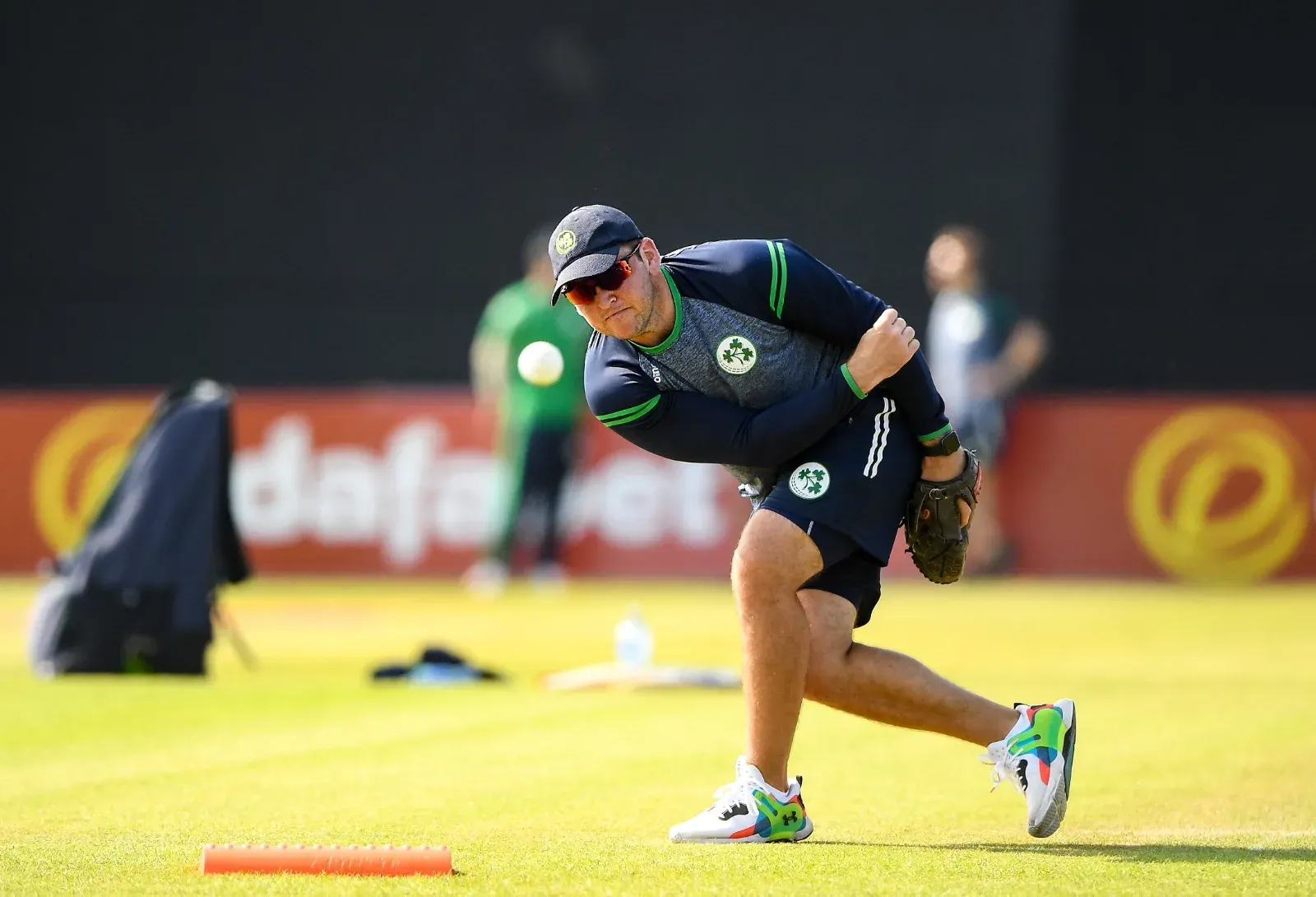 Gary Wilson named Ireland cricket head coach, first local in 30+ years