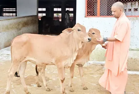 गौ माता को ठंड से बचाएंगे स्पेशल इको-थर्मल कंबल