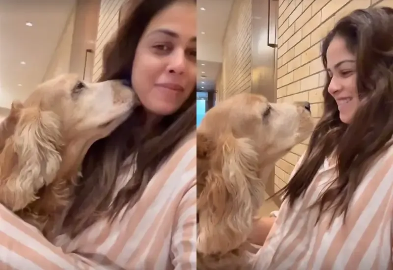 Genelia Marks 11 Years with Her Beloved Pet: Grateful for Being Chosen as His Aai