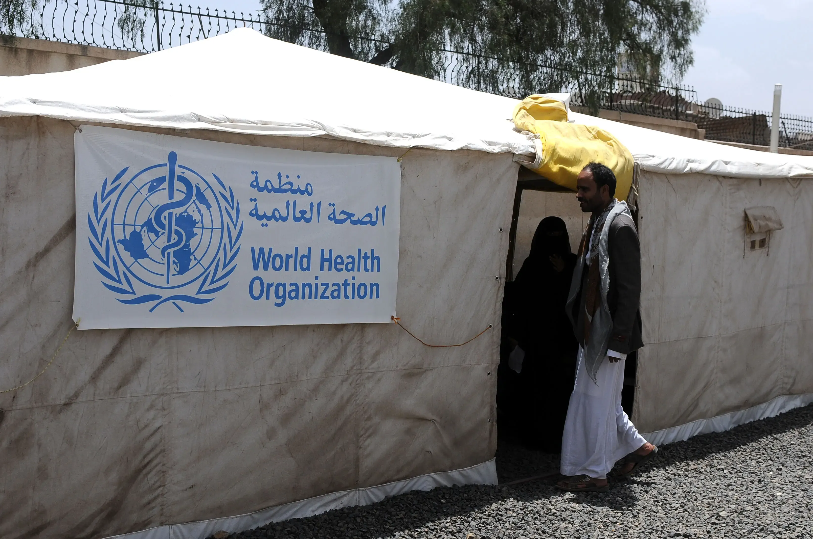 Is the Global Cholera Crisis Worsening? 31 Countries Report Outbreaks in 2025, According to WHO