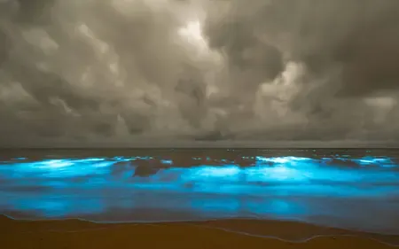 Are the Glowing Waters in Australia’s Tasmania Linked to Climate Change Rather Than Fish-Farm Waste?