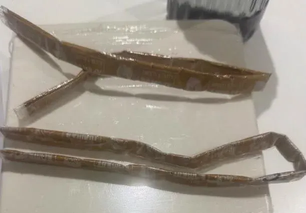 Gold paste in shirt collars: Ahmedabad Customs seizes ₹19.48 lakh gold from Dubai flyers