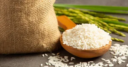 India's wild rice genetic resources get milestone conservation boost in Assam